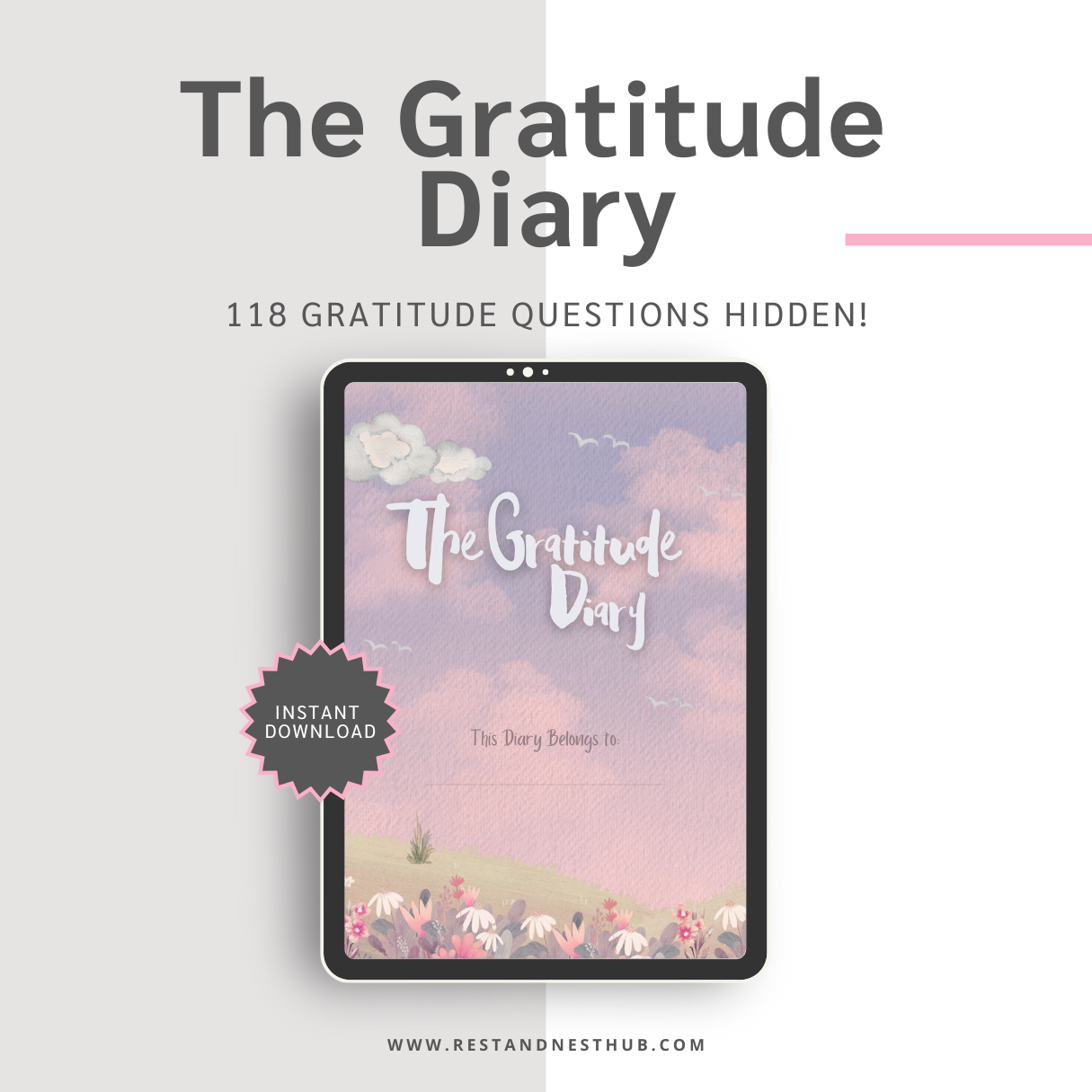 The Gratitude Diary | Instant Download | Printable